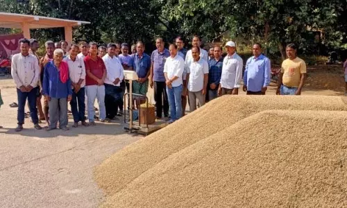 सरकार ने धान खरीद प्रक्रिया में तेजी लाई