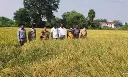 AEO ने धरना दिया, पदोन्नति में समानता की मांग की AEO ने धरना दिया, पदोन्नति में समानता की मांग की