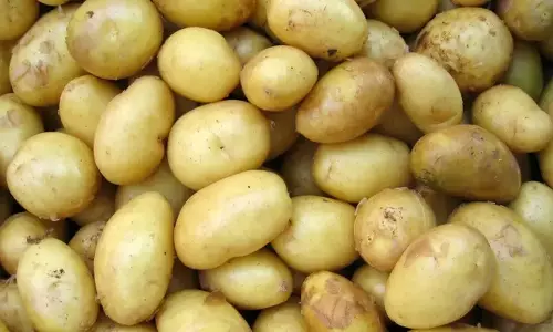 Odisha: मंत्री ने राज्य में आलू संकट के लिए बंगाल की मुख्यमंत्री को जिम्मेदार ठहराया