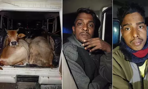 Assam के गोसाईगांव में तस्करी कर लाई गई 4 गायों को ले जा रही Assam के गोसाईगांव में तस्करी कर लाई गई 4 गायों को ले जा रही