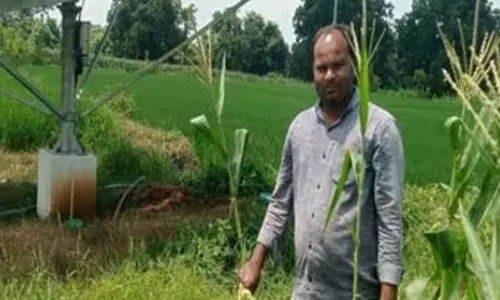 सौर सुजला योजना, पर्यावरण के लिए एक सकारात्मक कदम
