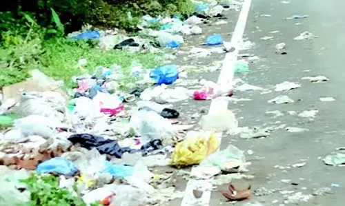 GOA: कूड़ा डंपिंग के कारण धावलीम सर्विस रोड की हालत खराब GOA: कूड़ा डंपिंग के कारण धावलीम सर्विस रोड की हालत खराब