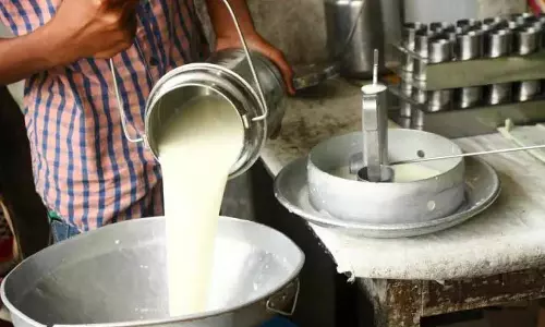 Himachal की डेयरी क्रांति में एक मील का पत्थर
