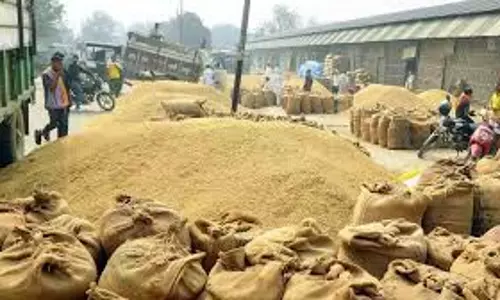 Jalore: खाद्य विभाग द्वारा 31 जनवरी 2025 तक चलाया जा रहा ‘गिव-अप’ अभियान
