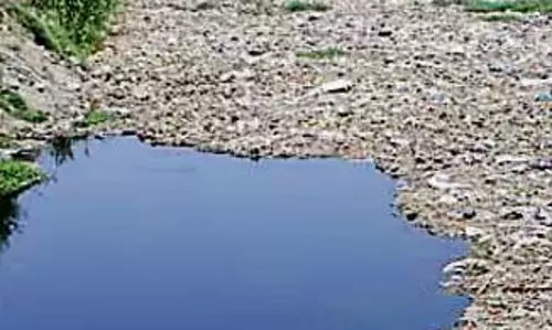 Ludhiana: हितधारकों ने बुद्ध नाला प्रदूषण के लिए अपंजीकृत इकाइयों, भ्रष्टाचार, ‘पुराने’ एसटीपी को ठहराया जिम्मेदार
