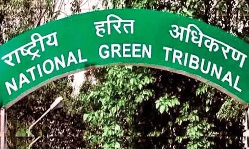Delhi: एनजीटी को एमसीडी ने यमुना बाढ़ क्षेत्र का 4.38 किमी हिस्सा साफ करने की दी जानकारी
