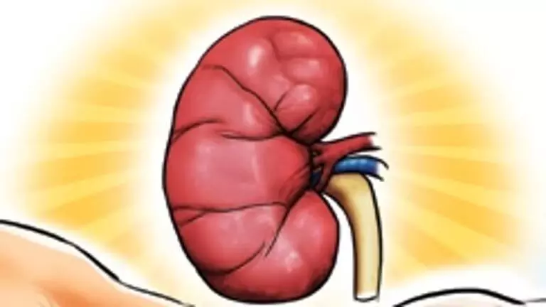 टीम ने CKD से प्रभावित गांव का दौरा किया