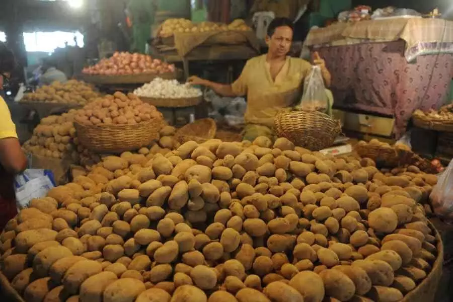 प्रतिकूल मौसम के कारण Bengal में आलू की पैदावार प्रभावित