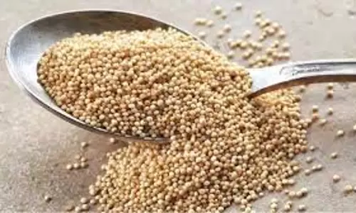 Health: हड्डियों के लिए सुपरफूड है राजगिरा
