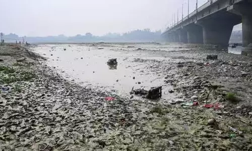 Delhi यमुना के डूब क्षेत्र का 4.38 किलोमीटर हिस्सा साफ किया गया