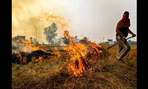 Punjab :हरियाणा के किसानों से 1.47 करोड़ रुपये का जुर्माना वसूला गया Punjab :हरियाणा के किसानों से 1.47 करोड़ रुपये का जुर्माना वसूला गया