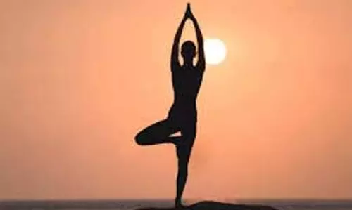 Yoga Tips: ब्लड प्रेशर को कंट्रोल करते हैं ये  योगासन