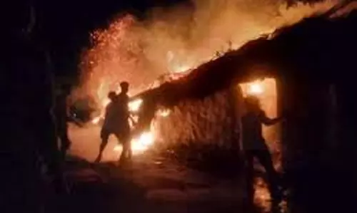 Barabanki:  घर में लगी आग, दो मवेशी जिंदा जले