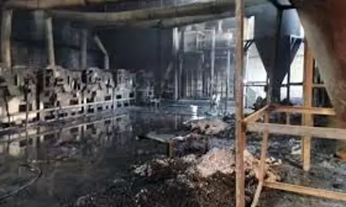 Haryana:  धागा फैक्ट्री में लगी भीषण आग,  जिंदा जले 2 मजदूर