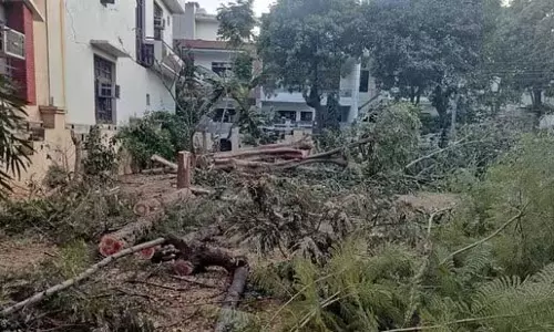 Ludhiana: पेड़ काटे गए, बसंत एवेन्यू के व्यक्ति के खिलाफ कार्रवाई की मांग Ludhiana: पेड़ काटे गए, बसंत एवेन्यू के व्यक्ति के खिलाफ कार्रवाई की मांग