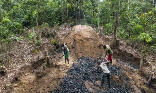 Assam : बोडोलैंड में वन विनाश को लेकर राजनीतिक आरोप-प्रत्यारोप