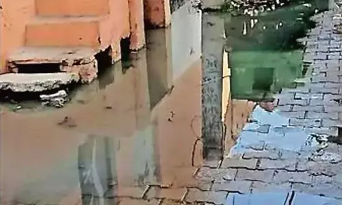 Haryana : रोहतक के गांव में जमा है गंदा पानी Haryana : रोहतक के गांव में जमा है गंदा पानी