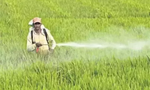 Telangana: विशेषज्ञों ने कीटनाशकों के प्रभावों पर राज्य शक्ति की मांग की