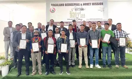 Nagaland : छठा नागालैंड मधुमक्खी दिवस मनाया गया