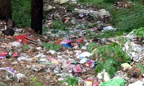 Himachal: चमियाणा को कूड़े के ढेर से मुक्त किया जाएगा
