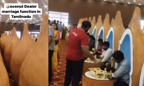 शादी की दावत में नारियल के आकार की सीटों का VIDEO हुआ वायरल शादी की दावत में नारियल के आकार की सीटों का VIDEO हुआ वायरल