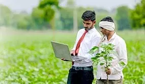 बिना कुछ गिरवी रखे किसानों को मिलेगा 2 लाख रुपये तक का लोन, आरबीआई ने दी राहत बिना कुछ गिरवी रखे किसानों को मिलेगा 2 लाख रुपये तक का लोन, आरबीआई ने दी राहत