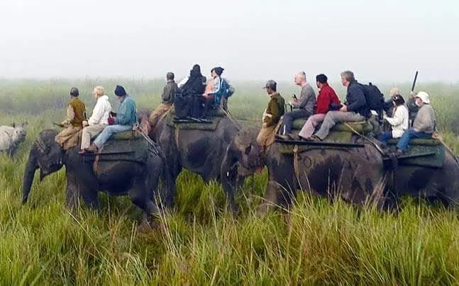 Kaziranga में रिकॉर्ड तोड़ पर्यटकों की आमद, राजस्व ₹1.46 करोड़ के पार