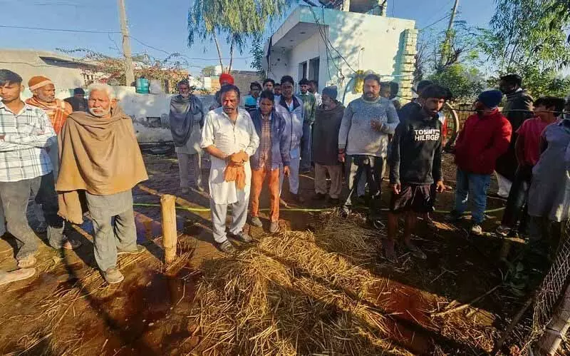 Abohar गांव में आग लगने से कई पशुओं की मौत