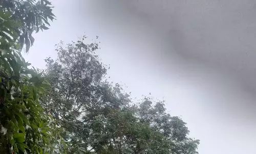 छत्तीसगढ़ के 16 जिलों में छाई बदली, हल्की बारिश का अनुमान छत्तीसगढ़ के 16 जिलों में छाई बदली, हल्की बारिश का अनुमान