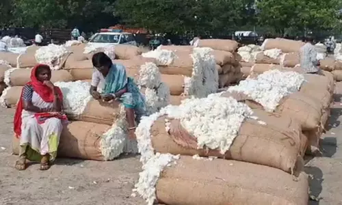 Telangana: तेलंगाना के आदिलाबाद में बनेगा पहला कपास अनुसंधान केंद्र Telangana: तेलंगाना के आदिलाबाद में बनेगा पहला कपास अनुसंधान केंद्र