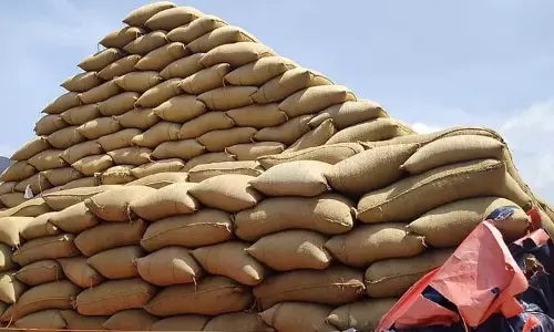 Paddy Purchase: मंत्री नादेंदला मनोहर ने वाईएसआरसीपी को समझाए तथ्य Paddy Purchase: मंत्री नादेंदला मनोहर ने वाईएसआरसीपी को समझाए तथ्य