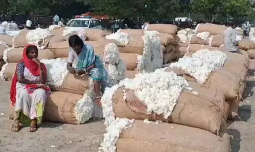 Telangana के आदिलाबाद में बनेगा पहला कपास अनुसंधान केंद्र Telangana के आदिलाबाद में बनेगा पहला कपास अनुसंधान केंद्र