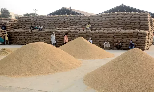 Telangana: भाजपा ने धान खरीद में देरी की आलोचना की Telangana: भाजपा ने धान खरीद में देरी की आलोचना की