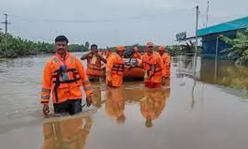 चक्रवात से हुए नुकसान का आकलन करने के लिए केंद्रीय टीम तमिलनाडु पहुंची