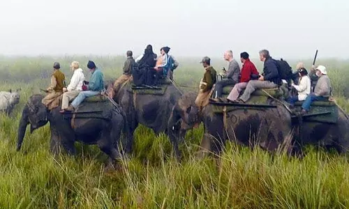 Kaziranga में रिकॉर्ड तोड़ पर्यटकों की आमद, राजस्व ₹1.46 करोड़ के पार Kaziranga में रिकॉर्ड तोड़ पर्यटकों की आमद, राजस्व ₹1.46 करोड़ के पार