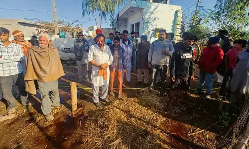 Abohar गांव में आग लगने से कई पशुओं की मौत Abohar गांव में आग लगने से कई पशुओं की मौत