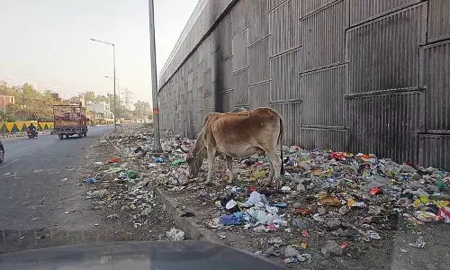 Haryana : अनुबंध संबंधी मुद्दों के कारण फरीदाबाद में कचरा संग्रहण ठप Haryana : अनुबंध संबंधी मुद्दों के कारण फरीदाबाद में कचरा संग्रहण ठप
