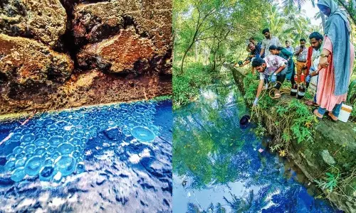 KERALA: एलाथुर डिपो से डीजल रिसाव के दूरगामी पर्यावरणीय और स्वास्थ्य परिणाम होंगे KERALA: एलाथुर डिपो से डीजल रिसाव के दूरगामी पर्यावरणीय और स्वास्थ्य परिणाम होंगे