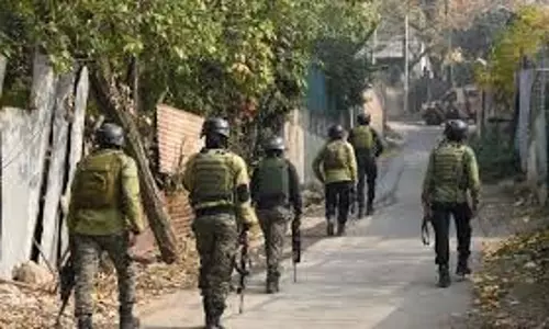 बारामुल्ला गांव में दुर्लभ रूप से देखा गया मारखोर