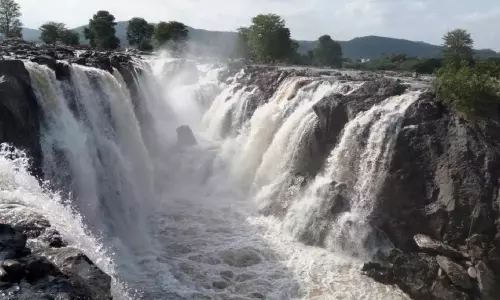 Hogenakkal Falls में पर्यटकों की आमद घटी, पर्यटकों ने नाव की सवारी का आनंद लिया