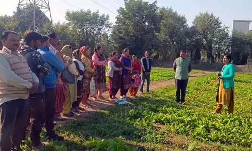 Nurpur में विश्व मृदा दिवस मनाया गया