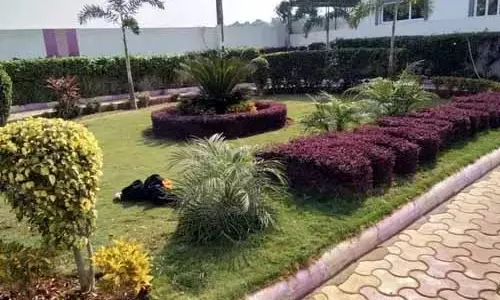 Chandigarh: पंचकूला में माजरी चौक पर वर्टिकल गार्डन बनाया गया Chandigarh: पंचकूला में माजरी चौक पर वर्टिकल गार्डन बनाया गया
