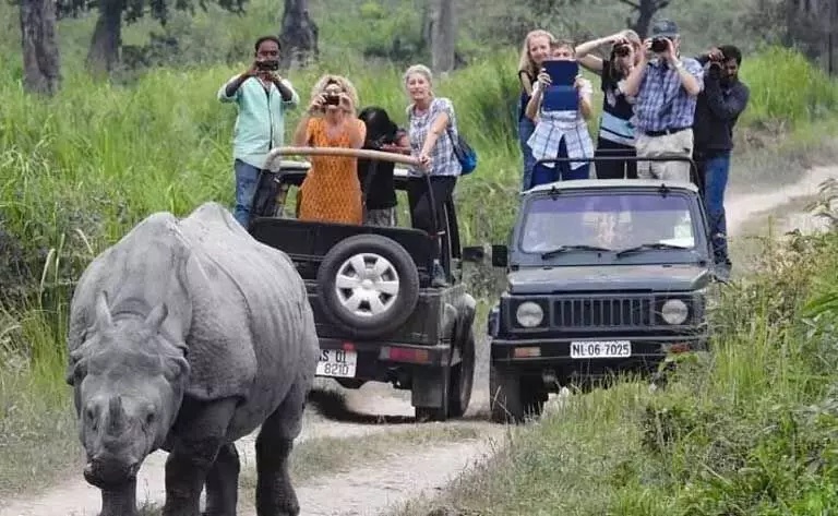 Assam : मानस राष्ट्रीय उद्यान में पर्यटकों की संख्या में रिकॉर्ड उछाल, राजस्व में उल्लेखनीय वृद्धि