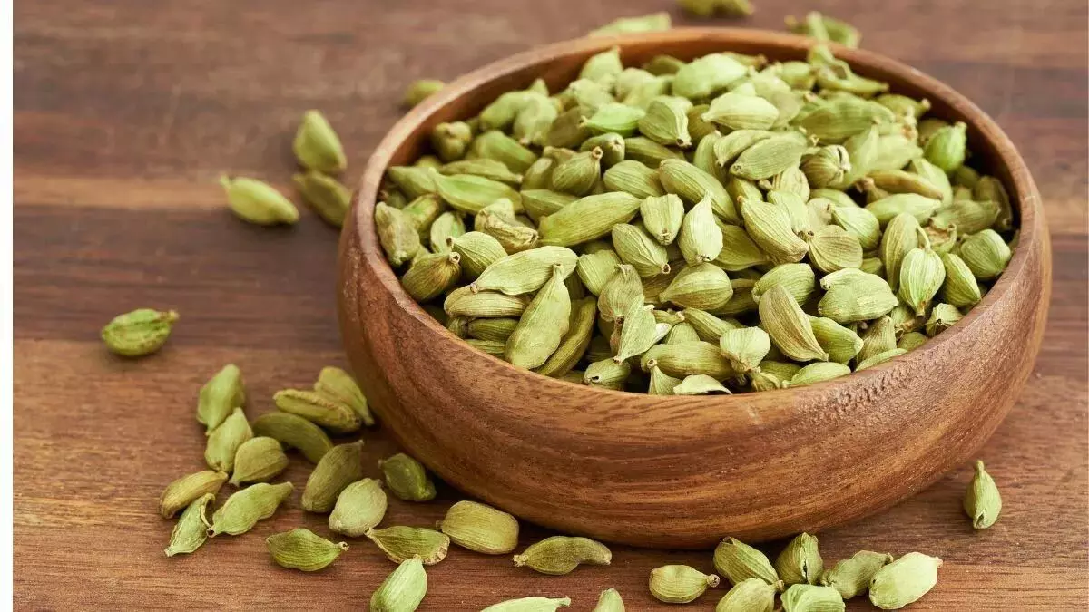 Cardamom के 7 स्वास्थ्य लाभ, भोजन के बाद जरूर करें सेवन