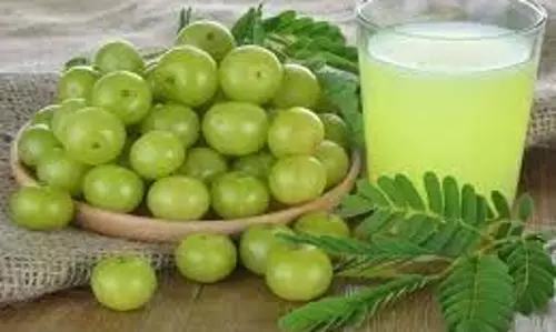 Health: सुबह खाली पेट पिएं औषधीय गुणों से भरपूर इस फल का जूस