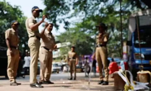 stray dogs, ने 60 वर्षीय महिला पर हमला किया, उसे 100 मीटर तक घसीटा