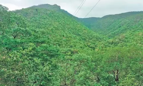 Karnat :कर्नाटक की देवदरी पहाड़ियों में खनन प्रस्ताव से औषधीय पौधों को खतरा