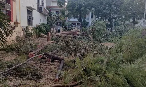 Punjab: शहर में पेड़ काटने के मामले में पुलिस ने की सख्त कार्रवाई Punjab: शहर में पेड़ काटने के मामले में पुलिस ने की सख्त कार्रवाई