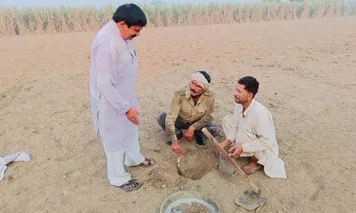 Haryana :  पलवल में मृदा परीक्षण अभियान में 94% कृषि भूमि को शामिल किया गया