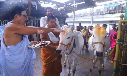 VHP ने सुरेखा के सहयोगी पर मवेशियों के दुरुपयोग का आरोप लगाया VHP ने सुरेखा के सहयोगी पर मवेशियों के दुरुपयोग का आरोप लगाया